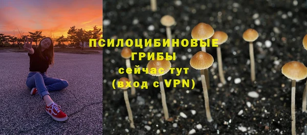 синтетический гашиш Белокуриха